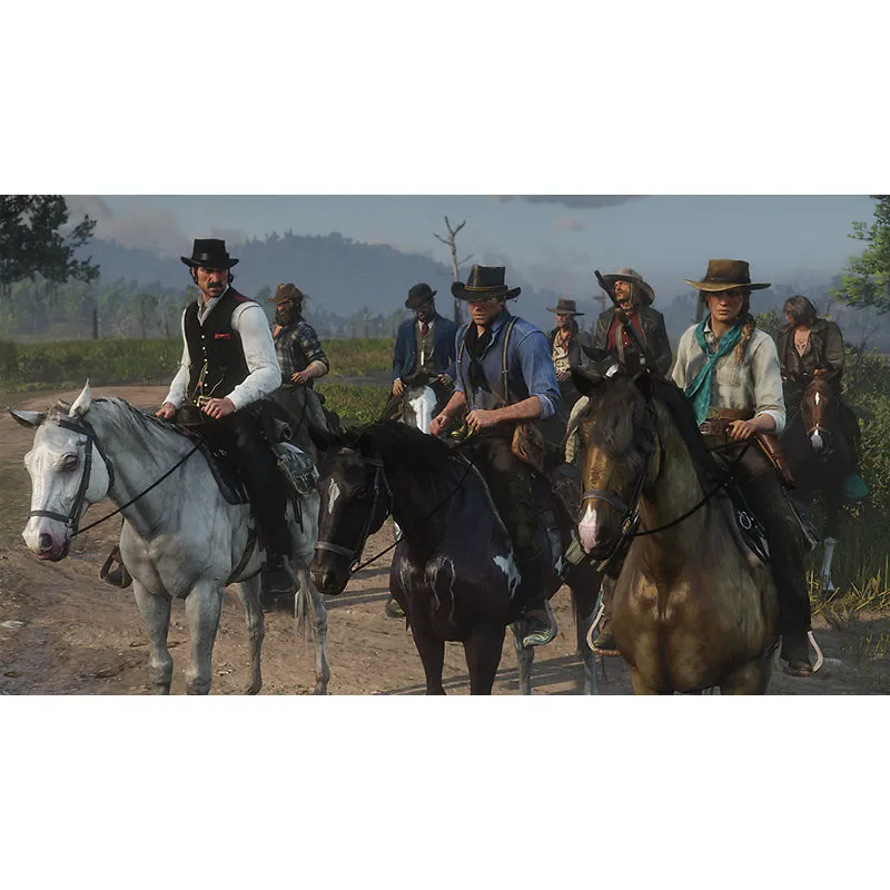 PS4 game Red Dead Redemption 2 for PlayStation 4